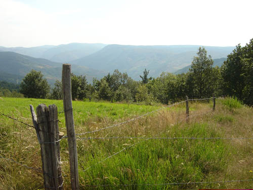 DSC06458