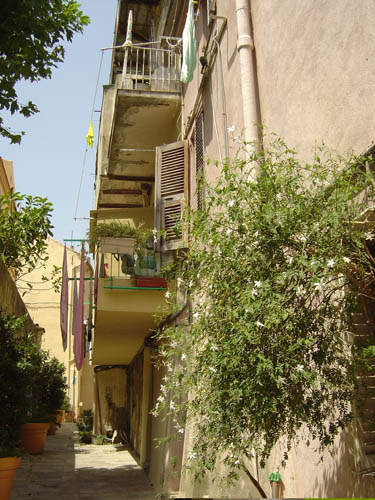DSC06539