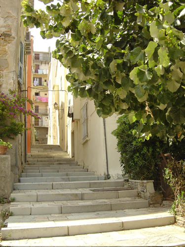 DSC06550