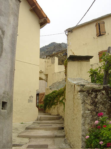 DSC06565