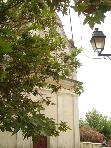 DSC06566