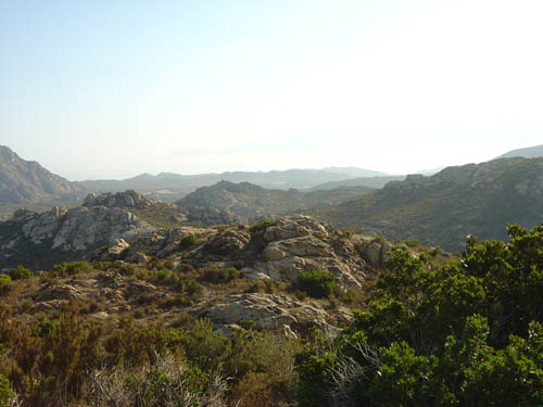 DSC06599