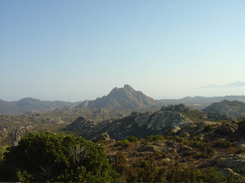 DSC06604