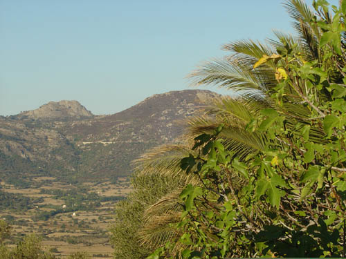 DSC06619