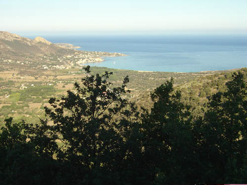 DSC06623
