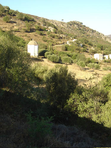 DSC06628