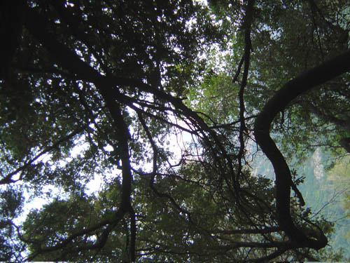 DSC06687