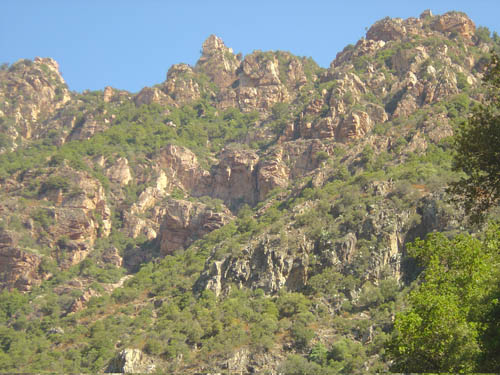 DSC06702