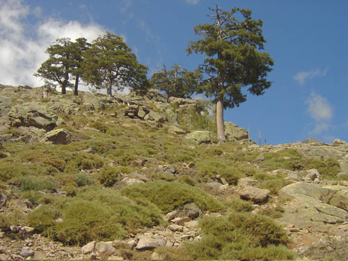 DSC06719