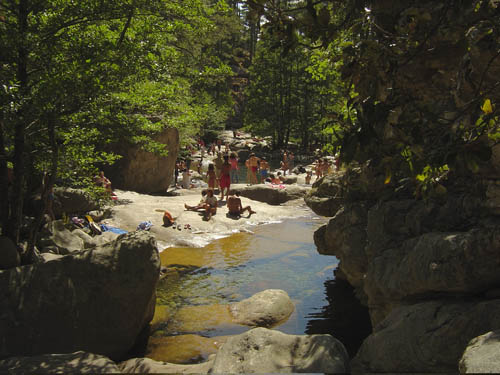 DSC06734