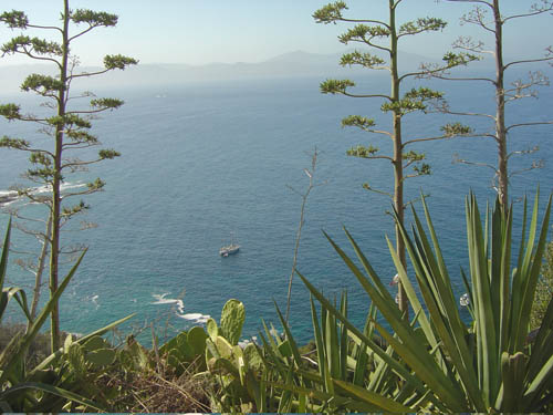 DSC06761