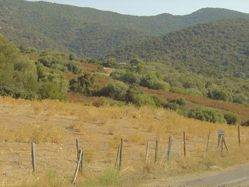 DSC06795