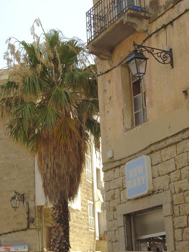 DSC06800