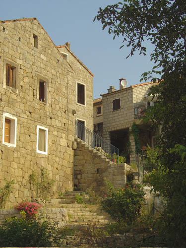 DSC06813