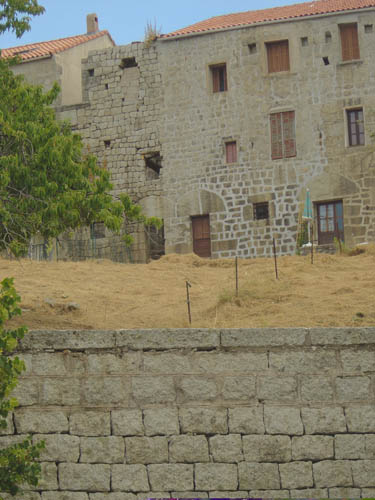 DSC06847