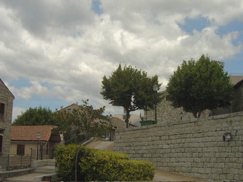 DSC06848