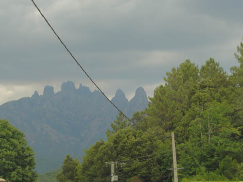 DSC06851