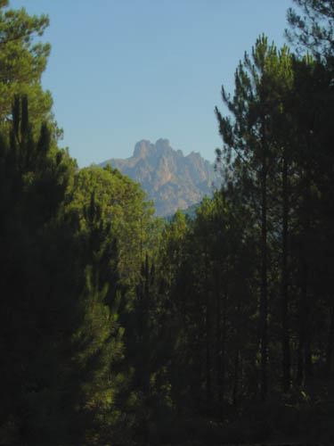 DSC06865