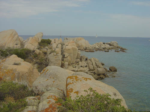 DSC06977