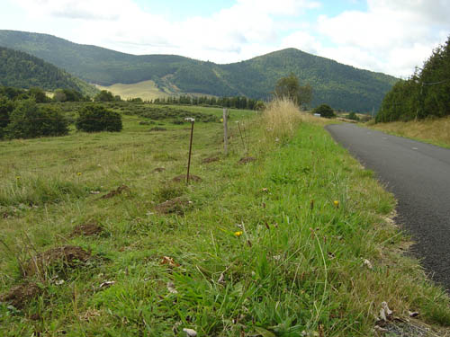 DSC07121